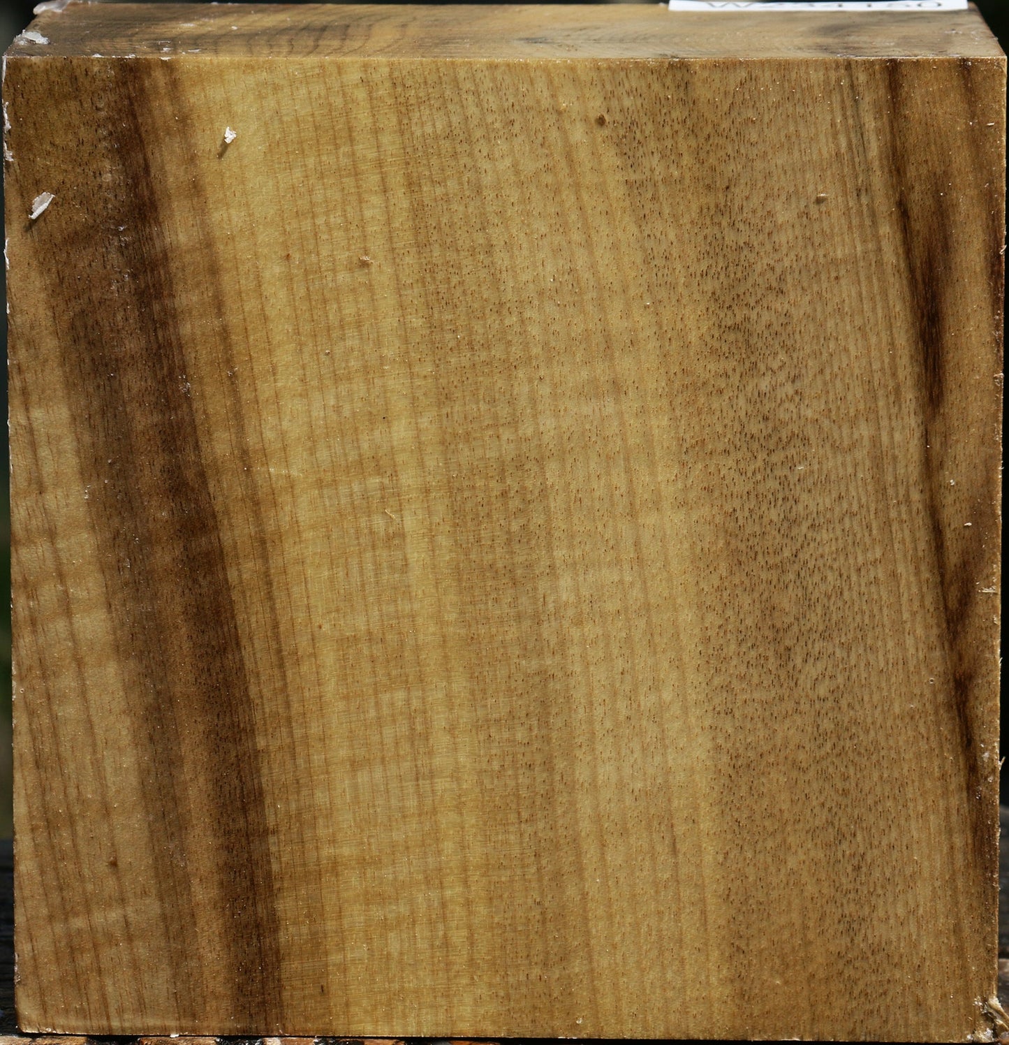 Figured Myrtle Bowl Blank