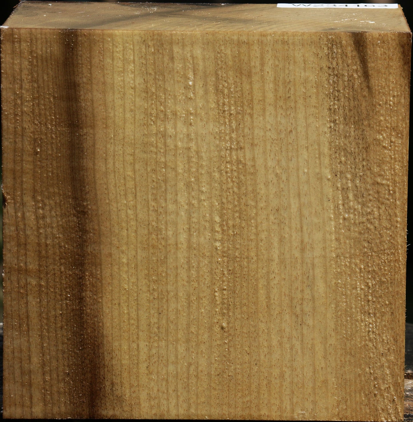 Figured Myrtle Bowl Blank