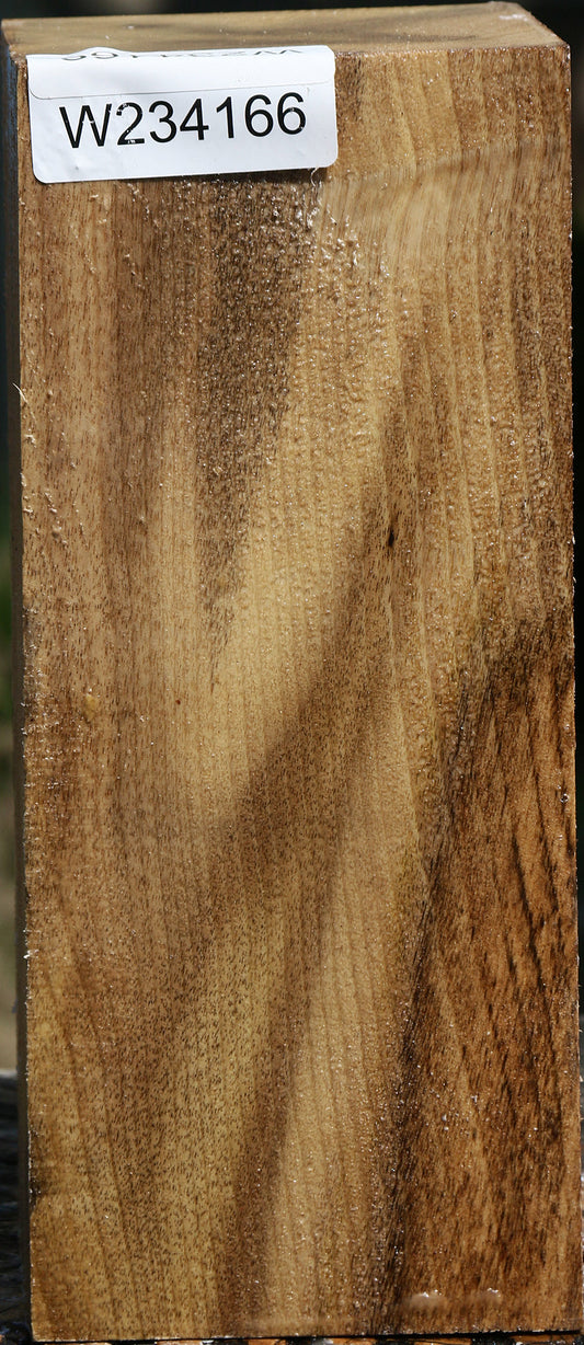 Figured Myrtle Vessel Blank