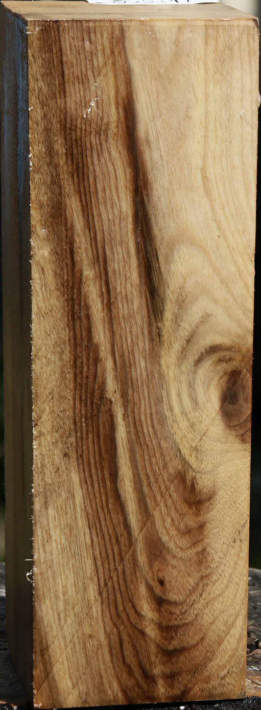 Figured Myrtle Vessel Blank