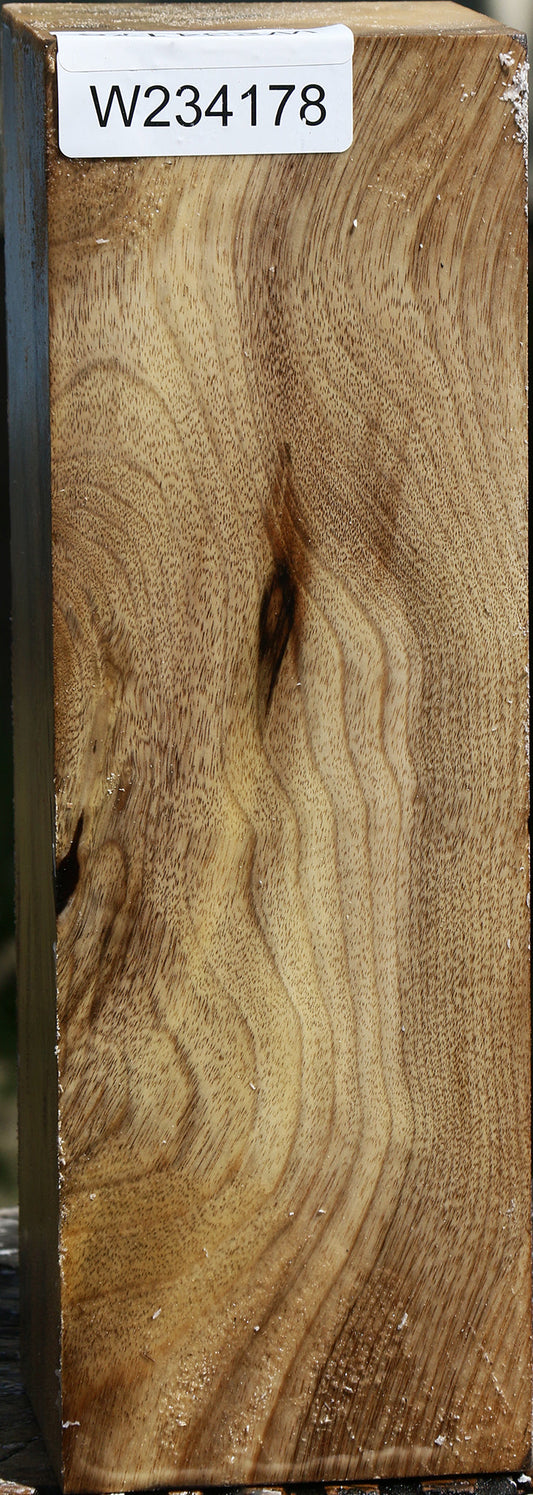 Figured Myrtle Vessel Blank