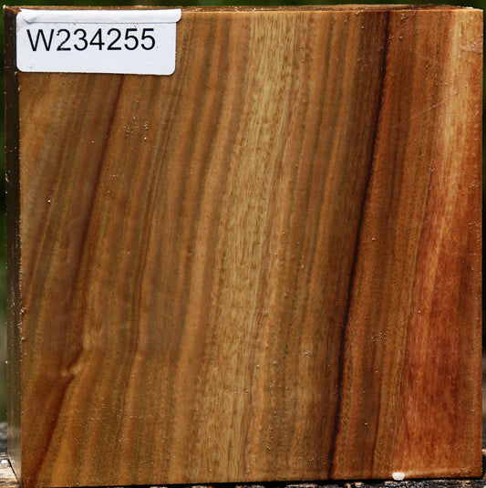 Figured Camphor Bowl Blank