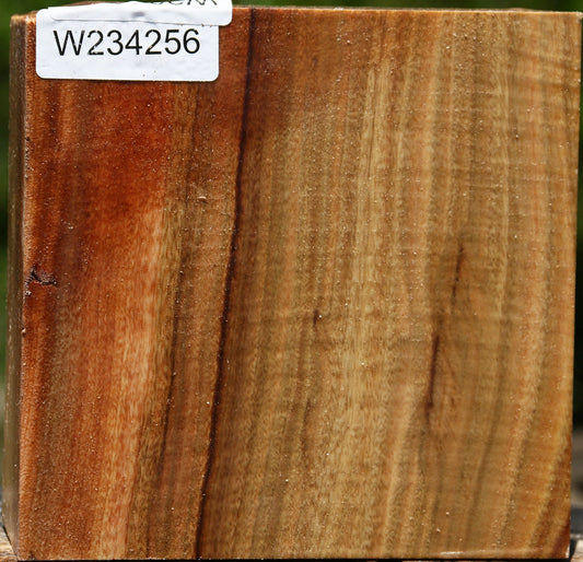 Figured Camphor Bowl Blank