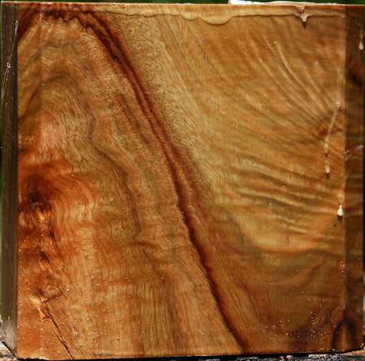 Extra Fancy Camphor Bowl Blank