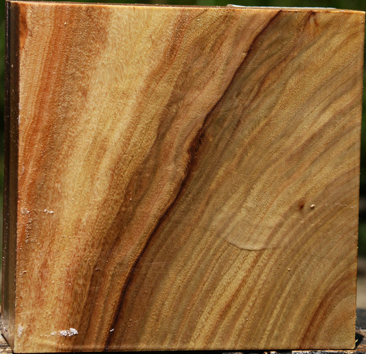 Figured Camphor Bowl Blank