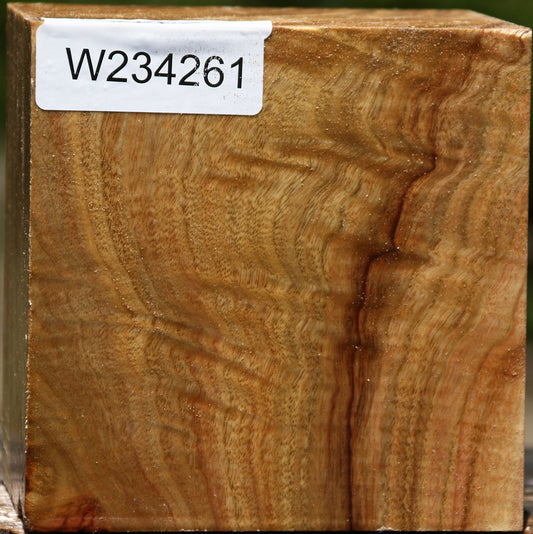 Figured Camphor Bowl Blank