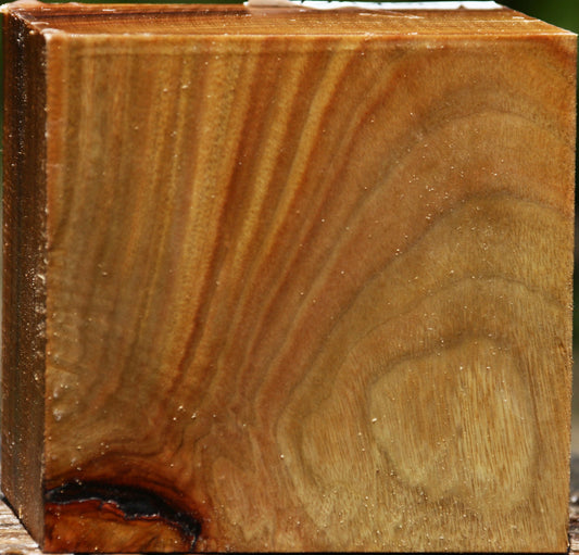 Figured Camphor Bowl Blank