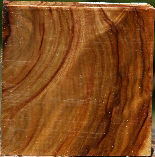 Extra Fancy Camphor Bowl Blank