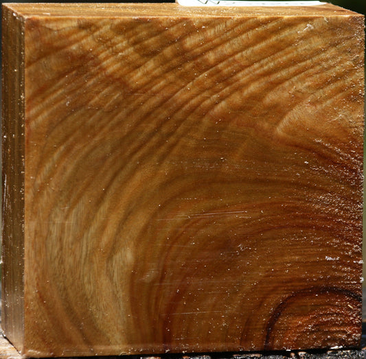 Extra Fancy Camphor Bowl Blank