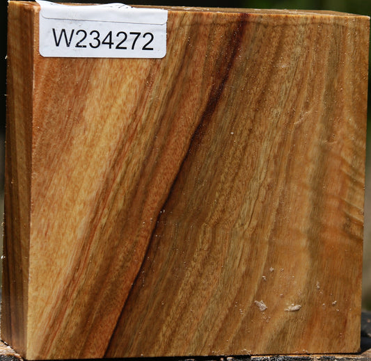 Figured Camphor Bowl Blank