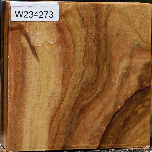 Figured Camphor Bowl Blank