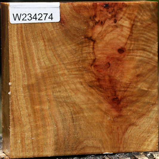 Figured Camphor Bowl Blank