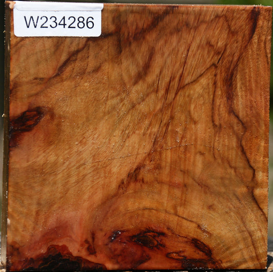 Figured Camphor Bowl Blank