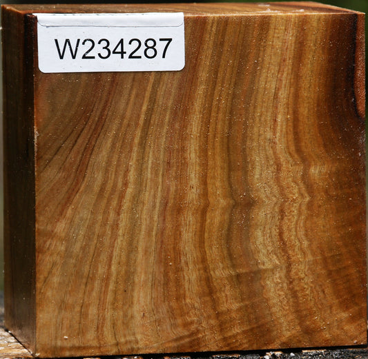 Extra Fancy Camphor Bowl Blank