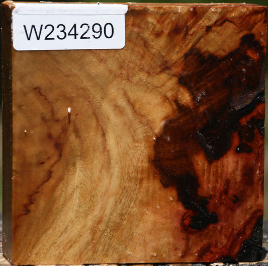 Figured Camphor Bowl Blank