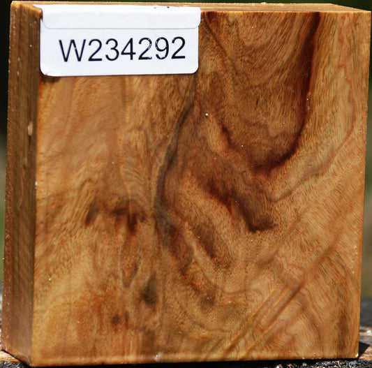 Figured Camphor Bowl Blank