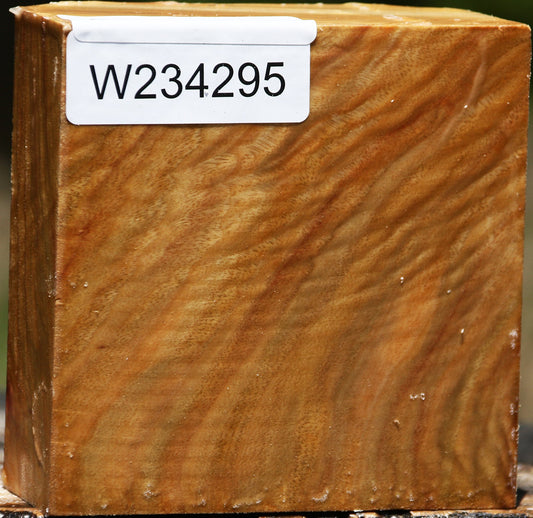 Extra Fancy Camphor Bowl Blank