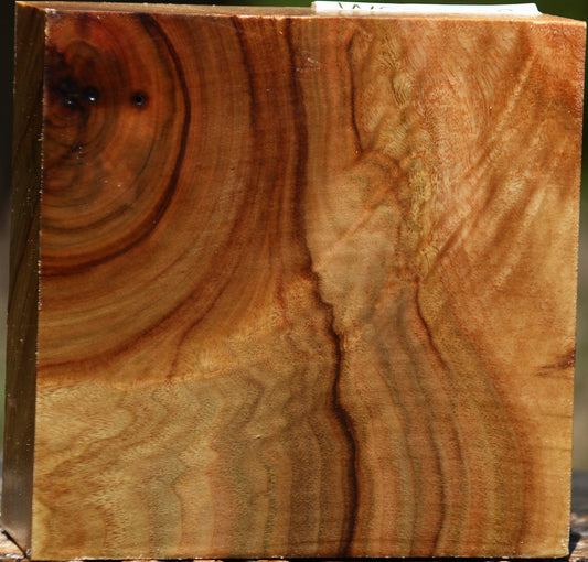 Extra Fancy Camphor Bowl Blank