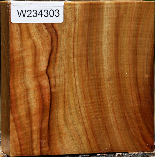 Figured Camphor Bowl Blank