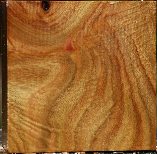 Extra Fancy Camphor Bowl Blank