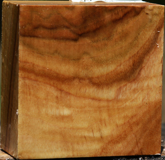 Figured Camphor Bowl Blank