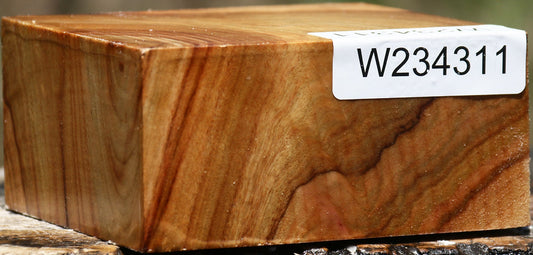 Extra Fancy Camphor Bowl Blank