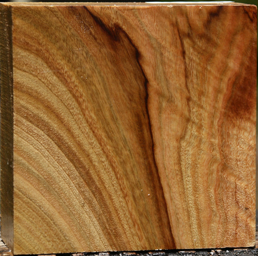 Figured Camphor Bowl Blank