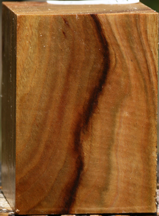 Camphor Turning Square