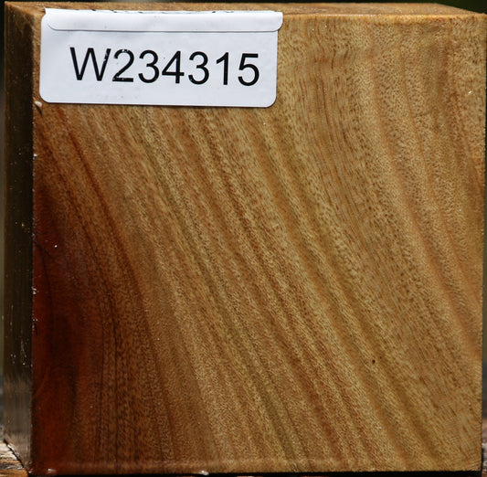 Quartersawn Camphor Bowl Blank