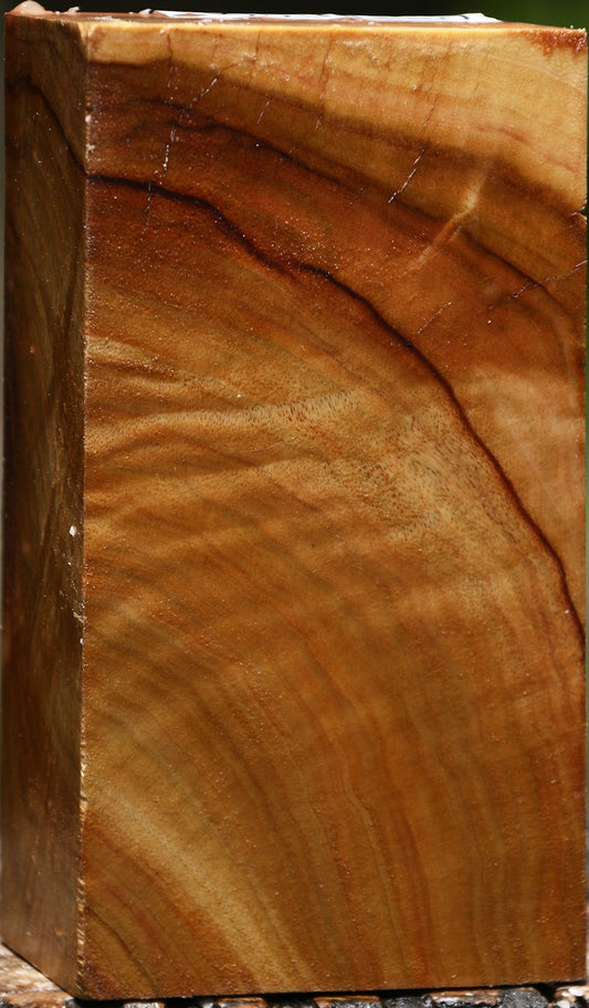 Extra Fancy Camphor Turning Blank