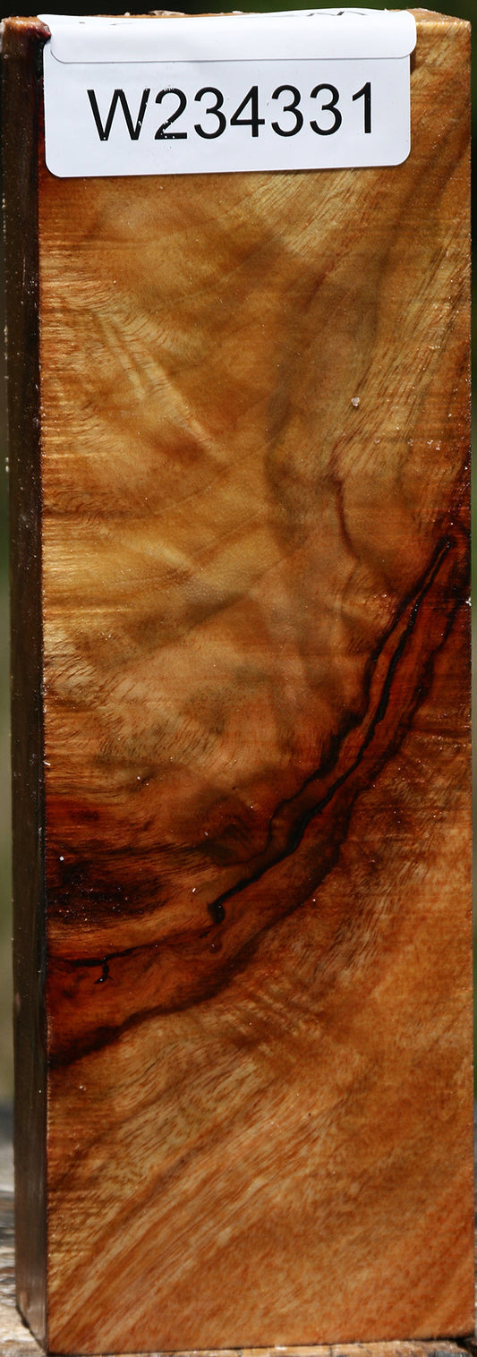 Extra Fancy Camphor Turning Blank