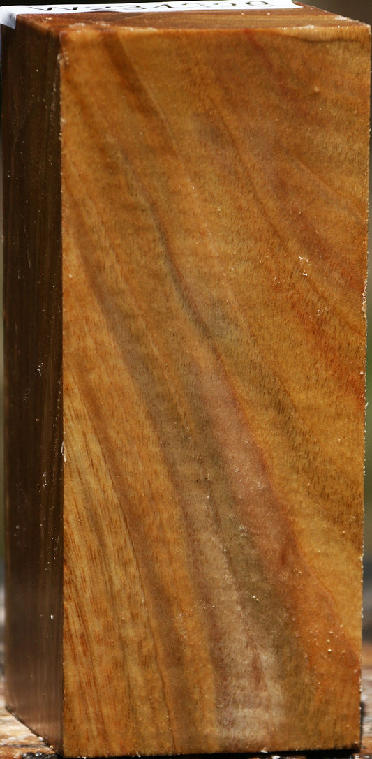 Camphor Turning Square