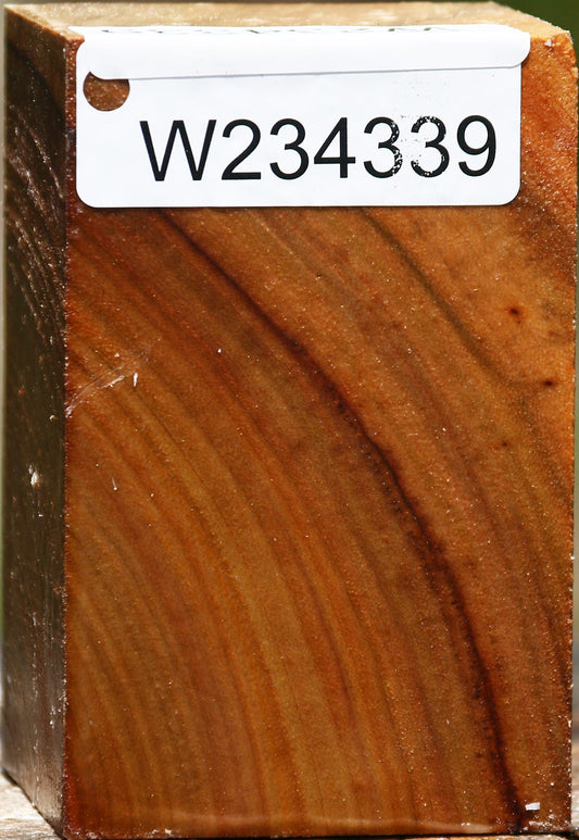 Figured Camphor Turning Square