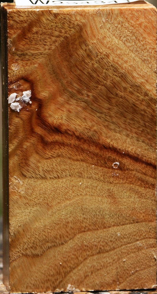 Figured Camphor Turning Blank