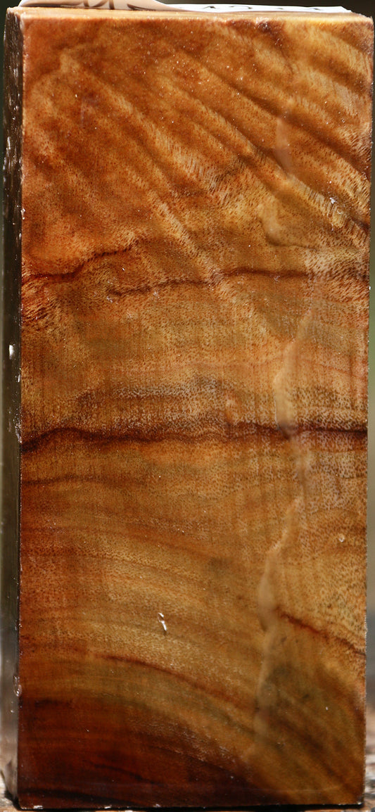 Extra Fancy Camphor Turning Blank