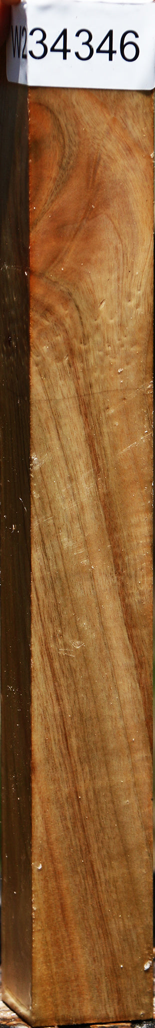 Camphor Turning Square