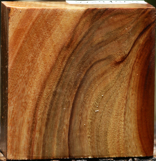 Figured Camphor Bowl Blank