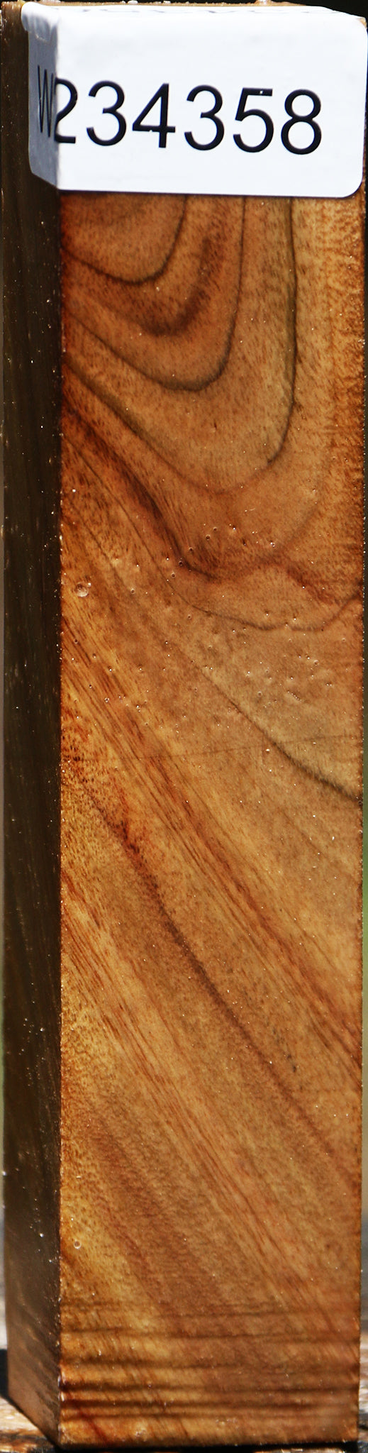 Camphor Turning Square