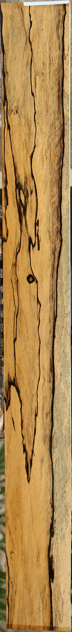 Extra Fancy Black & White Ebony Instrument Micro Lumber