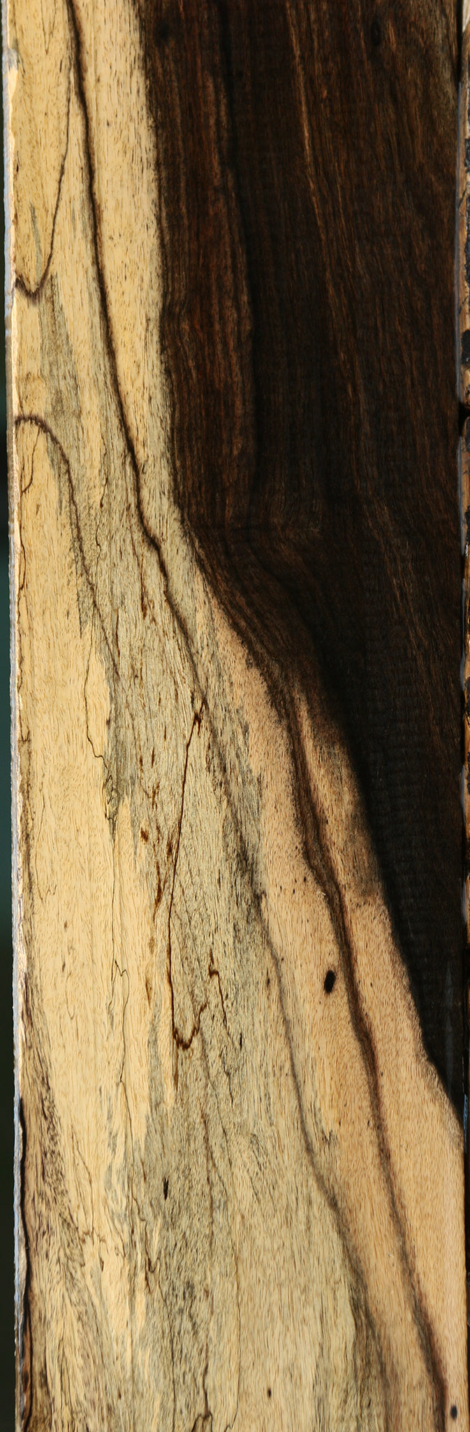 Figured Black & White Ebony Lumber