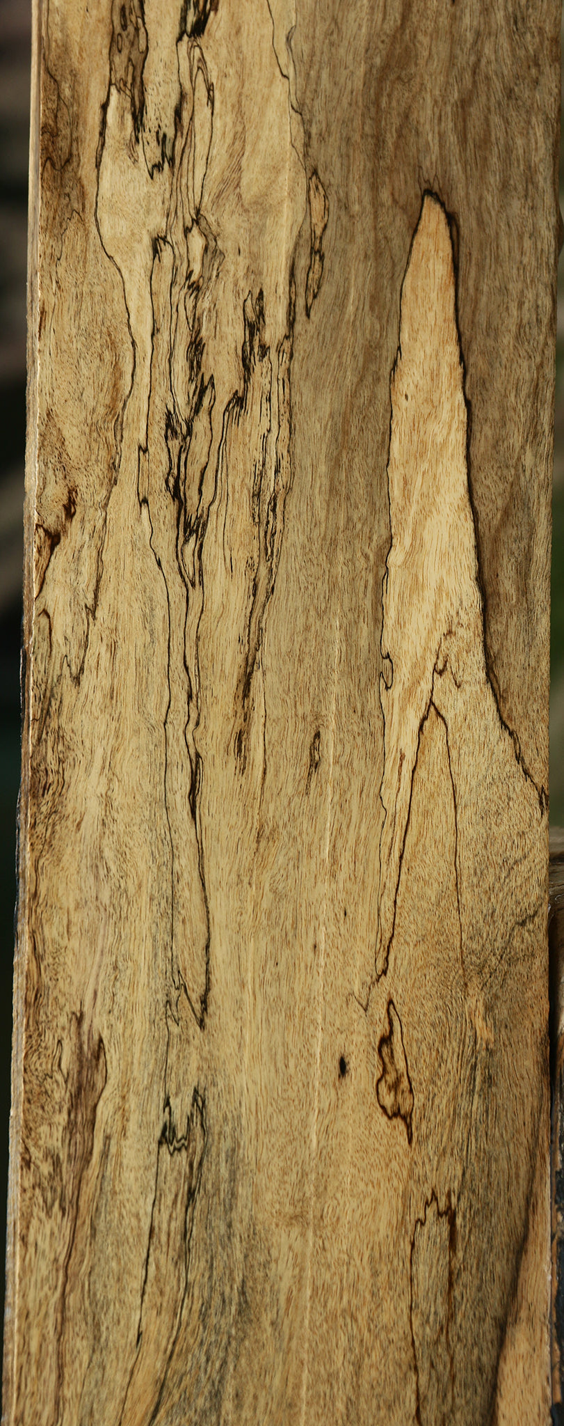 Figured Black & White Ebony Lumber