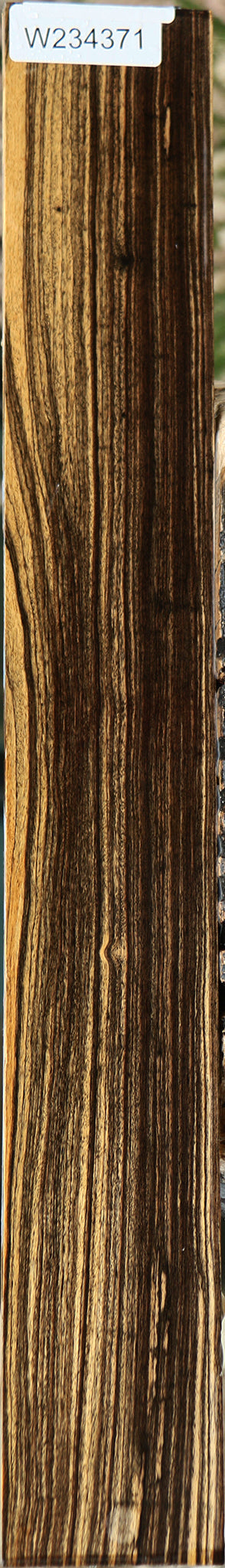 Quartersawn Black & White Ebony Instrument Micro Lumber