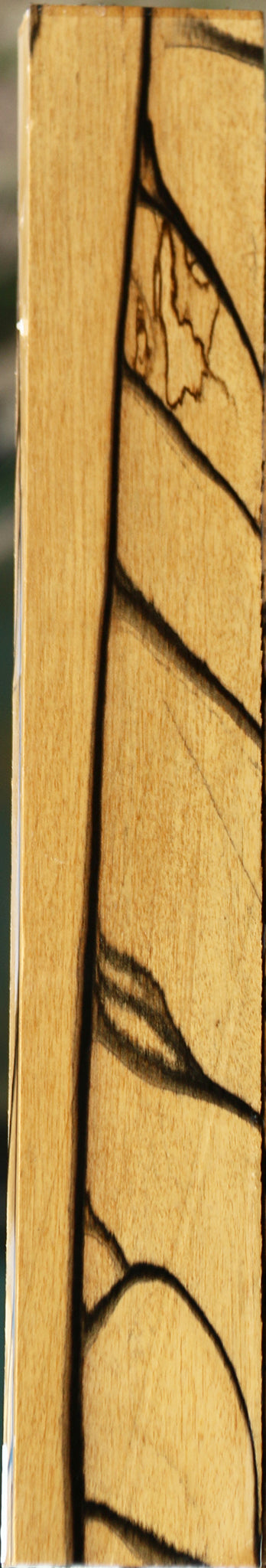 Extra Fancy Black & White Ebony Lumber