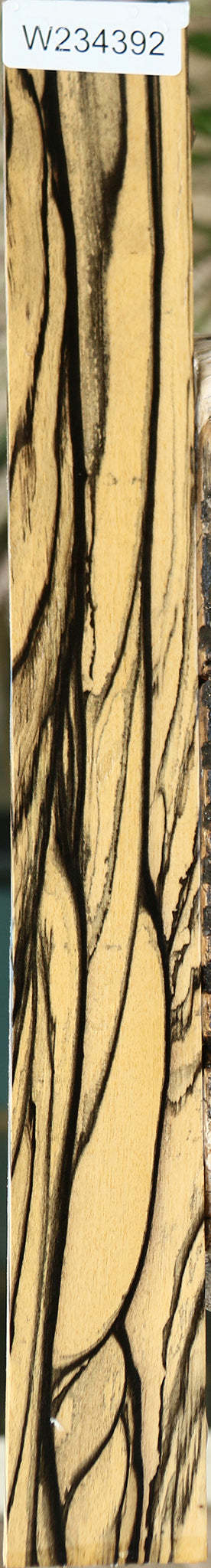 Extra Fancy Black & White Ebony Instrument Micro Lumber