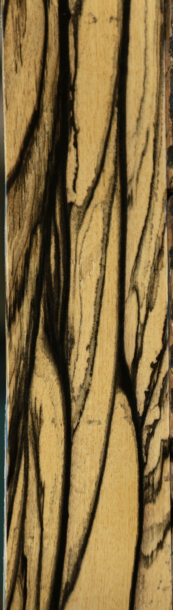 Extra Fancy Black & White Ebony Instrument Micro Lumber
