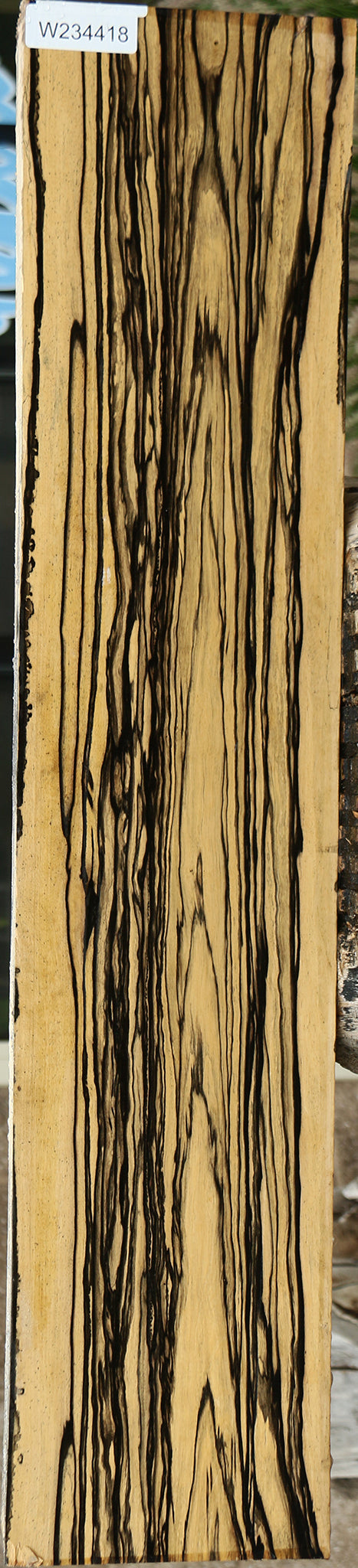 Exhibition Black & White Ebony Gun Blank