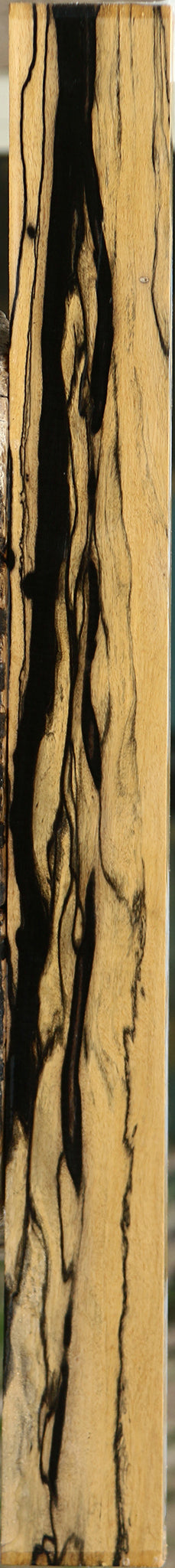 Extra Fancy Black & White Ebony Lumber
