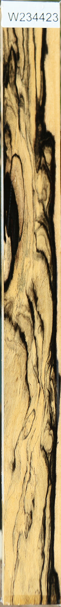 Figured Black & White Ebony Lumber