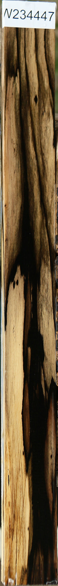 Figured Black & White Ebony Lumber