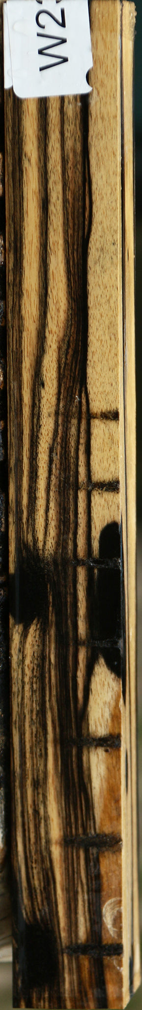 Figured Black & White Ebony Turning Square